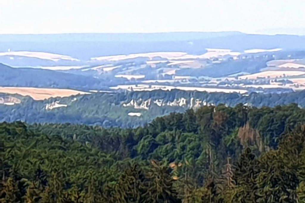 Ferienwohnung Sued - West Harz Mit Sauna E-Bikes Vorhanden! Horden am Harz Exterior foto