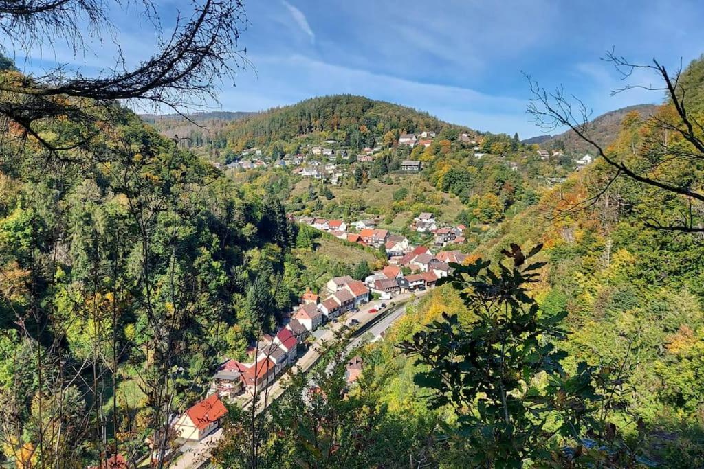 Ferienwohnung Sued - West Harz Mit Sauna E-Bikes Vorhanden! Horden am Harz Exterior foto